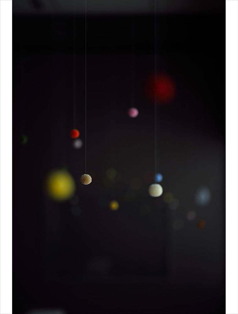 Amazon.co.jp: 内藤礼 生まれておいで 生きておいで : 内藤 礼